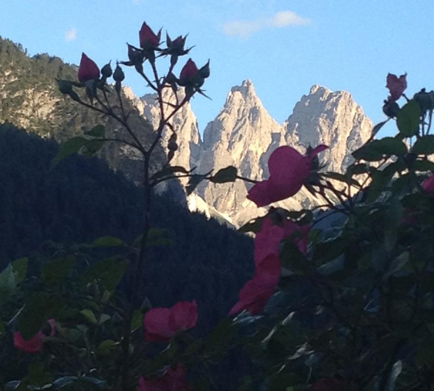 Fra Rose e Mughi Bed and Breakfast Domegge di Cadore Esterno foto